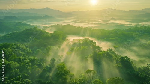 A beautiful sunrise landscape of Danongdafu Forest Park, birds eye view use the drone in morning bright sunlight