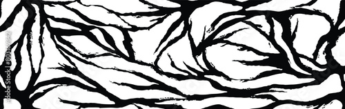 Zebra grunge skin, stripes roots pattern. Animal print, black and white thorns texture. Monochrome seamless background. Vector illustration  photo