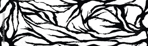Zebra grunge skin, stripes roots pattern. Animal print, black and white thorns texture. Monochrome seamless background. Vector illustration 