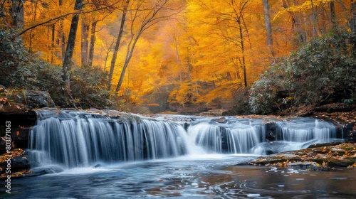 A beautiful waterfall with a forest in the background. The water is clear and the leaves are orange