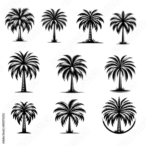 palm trees silhouettes