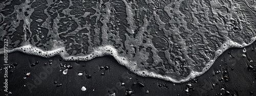 A black and white seascape with waves, various seashells, and starfish on sandy background.
