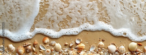 A seascape with waves, various seashells, and starfish on sandy background.