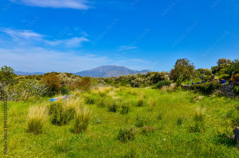 spring meadow and hills of Ildir valley scenic view from Erythrai antique ruins (Izmir province, Turkey)