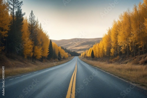 road in autumn