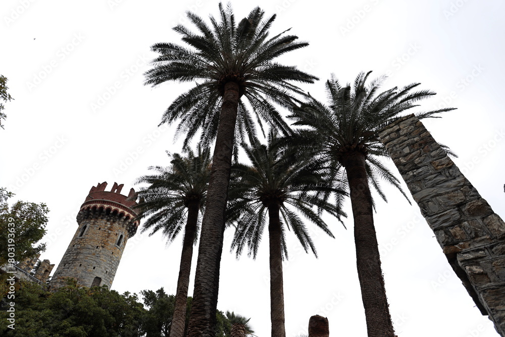 Castello D'Albertis Museum of World Cultures. Important museum inside the neo-Gothic castle of the city of Genoa, Italy. Castello D'Albertis Museum of World Cultures. Important museum inside the neo-Gothic castle of the city of Genoa, Italy.