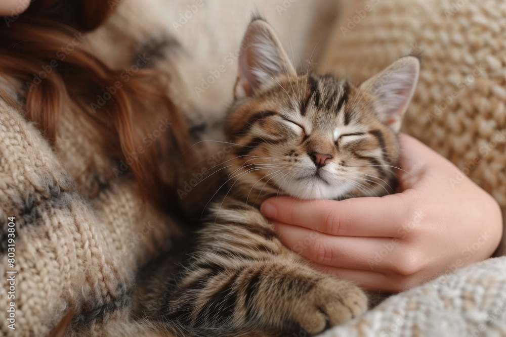 A ginger kitten being held by a young girl A ginger kitten being held by a young girl