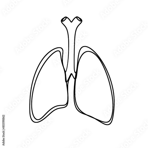 Human lungs one line art