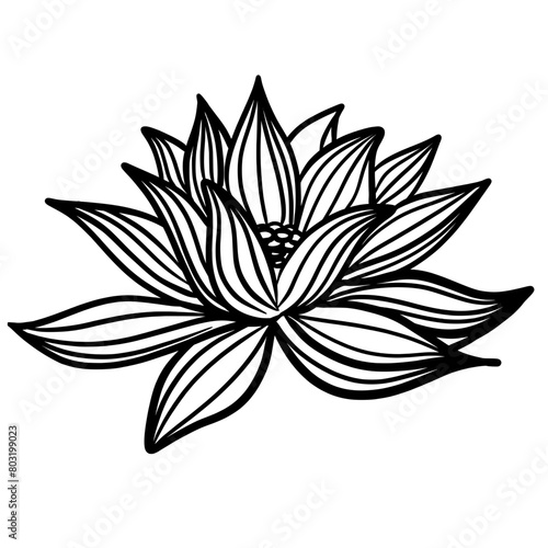 Lotus lily water flower line art