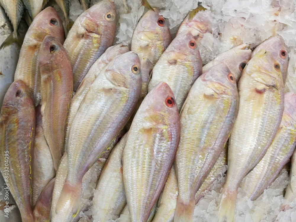 Treadfin breams fish fresh in ice sell on supermarket. Treadfin breams fish fresh in ice sell on supermarket.