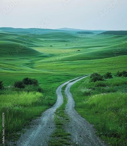 dirt road through the green rolling hills