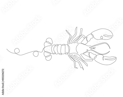 Continuous line drawing of lobster crayfish. One line of lobster crayfish. Marine animal concept continuous line art. Editable outline.