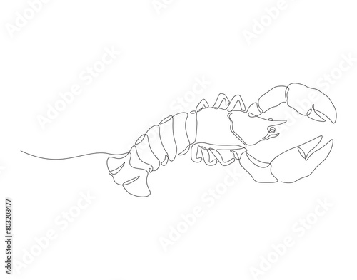 Continuous line drawing of lobster crayfish. One line of lobster crayfish. Marine animal concept continuous line art. Editable outline.