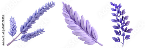 PNG lavender leaf 3d icons and objects collection, in cartoon style minimal on transparent, white background, isolate