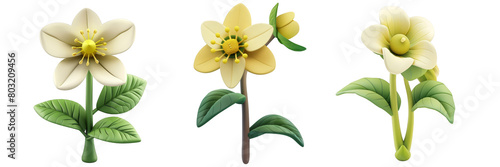 PNG hellebore 3d icons and objects collection, in cartoon style minimal on transparent, white background, isolate photo