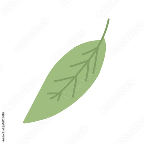 Matcha tea vector