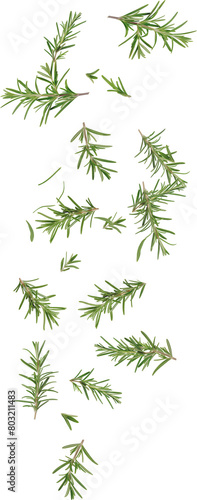 flying rosemary leaves