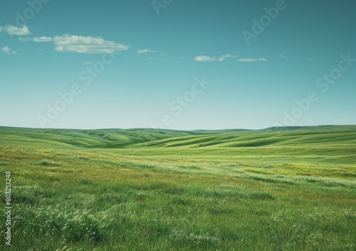 Vast green rolling hills under blue sky with white clouds