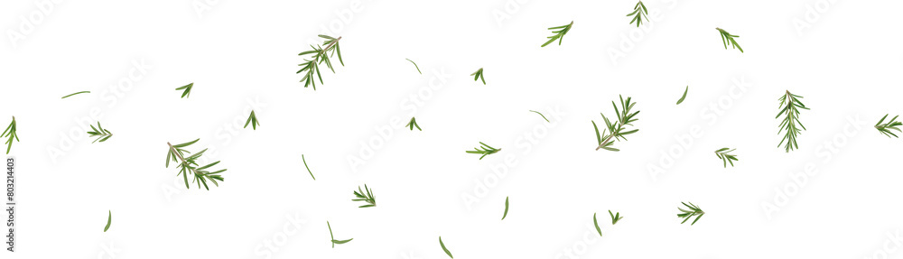 flying rosemary leaves flying rosemary leaves