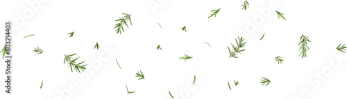 flying rosemary leaves