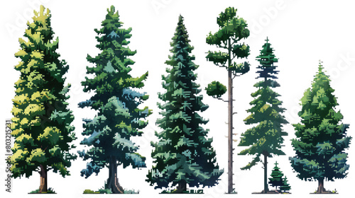 8 Bit. A variety of pine trees, suitable for use in landscaping in isolated on transparent background photo