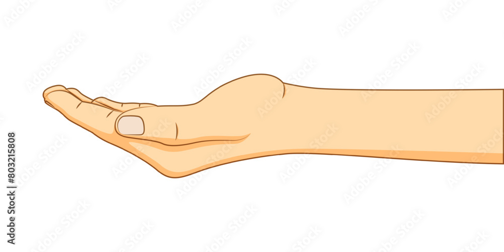 Vector illustration of hand gesture on transparent background Vector illustration of hand gesture on transparent background