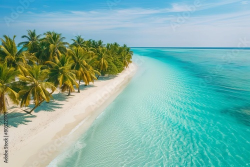 idyllic tropical island paradise with lush palm trees white sandy beach and crystal clear turquoise ocean tranquil summer vacation destination aerial travel photography 1