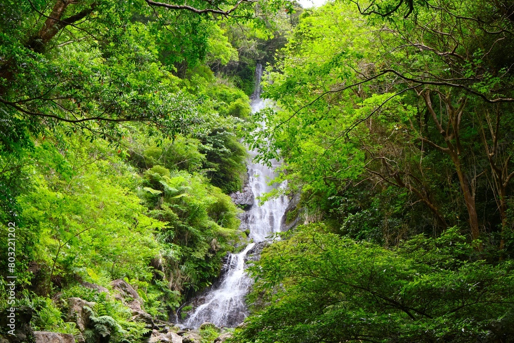 フナンギョの滝 （奄美大島）