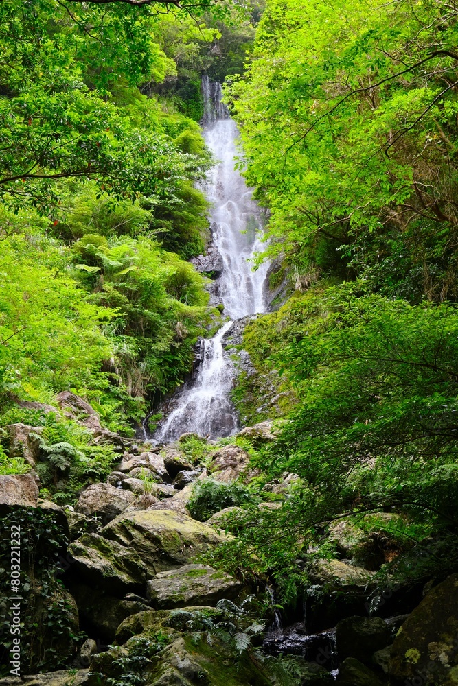 フナンギョの滝 （奄美大島）
