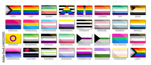 LGBT sexual identity pride flags gender collection. Flag of gay, lesbian, transgender, bisexual. Vector Illustration