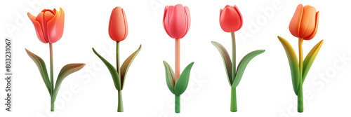 PNG tulip 3d icons and objects collection, in cartoon style minimal on transparent, white background, isolate