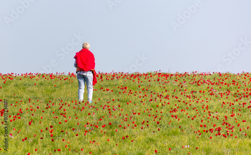Grandmother in a tulip field. Back view