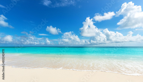 image of a beach landscape on the shore of the sea or ocean. sunny and clear weather at a tropical resort.