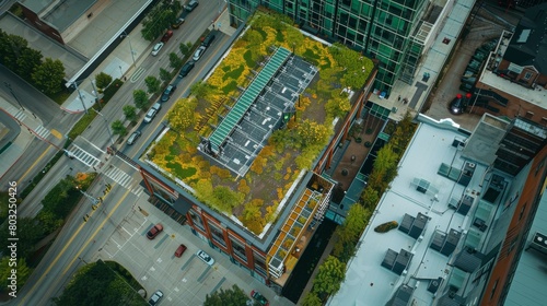 An aerial view of a green roof project in progress on a commercial building, emphasizing urban sustainability