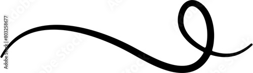 Сurly element swirl icon .Calligraphic swirl icon .Swoosh and swash symbol. 