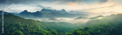 Fog-Enveloped Forest Creates a Serene Atmosphere Amidst Lush Greenery