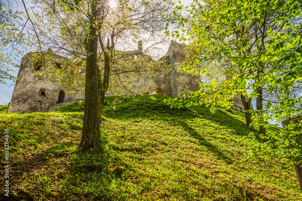 Fototapeta premium Slovakia landscape ruin of castle of Povazsky castle, near povazska bystrica in Slovakia