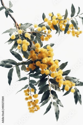 A branch of a tree with vibrant yellow flowers. Suitable for nature and spring-themed designs