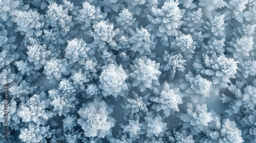 Serene Winter Wonderland  Frosty Trees Coated in Snow
