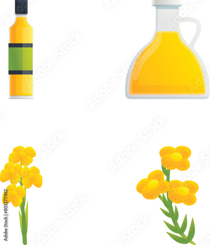 Canola icons set cartoon vector. Rapeseed oil and flower. Brassica napus, plant