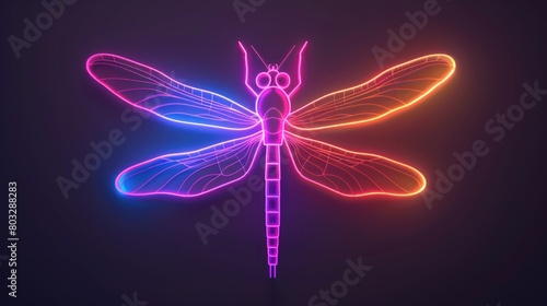 The neon dragonfly