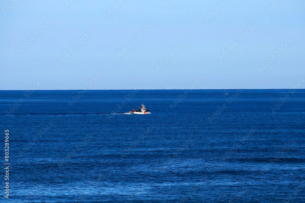 Fishing boat from Aveiro portugal sand dunes Atlantic Ocean beach view landscape panorama