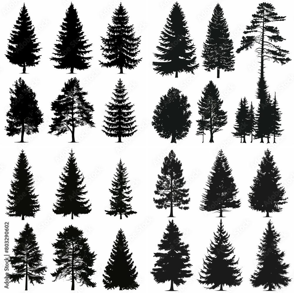 black tree silhouette set pure badge eco outline recreation breath emblem label protection graphic pine trunk woodland black tree silhouette set pure badge eco outline recreation breath emblem label protection graphic pine trunk woodland