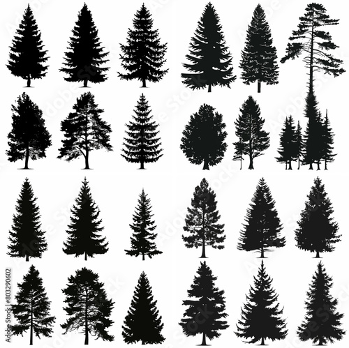 black tree silhouette set pure badge eco outline recreation breath emblem label protection graphic pine trunk woodland