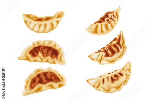 Gyoza on a white background.Cartoon vector