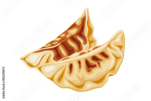 Gyoza on a white background.Cartoon vector