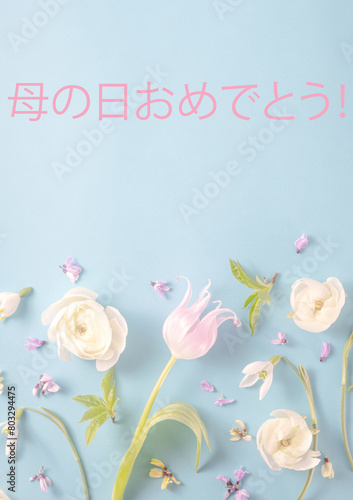 Text Happy mother's day in japanese. floral flat lay from cream ranunculus on a soft blue background. Top view. greeting card
