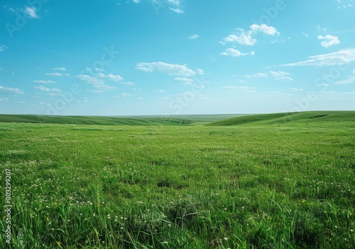 Grassland under blue sky