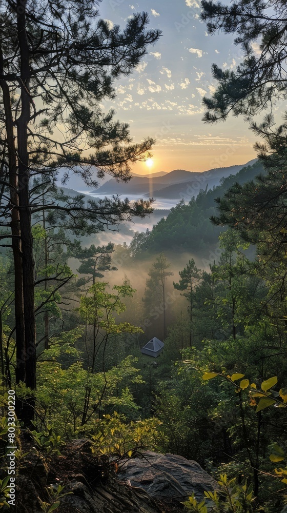 Obraz premium Misty Forest Overlooking Mountain Valley at Sunrise