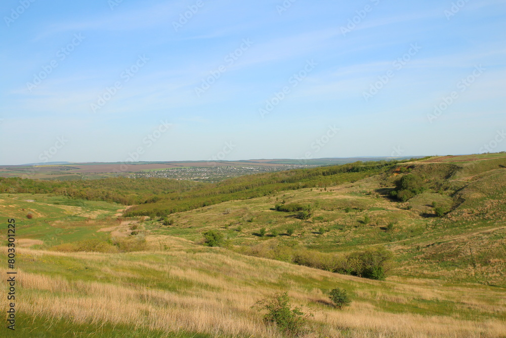 Obraz premium A grassy field with trees